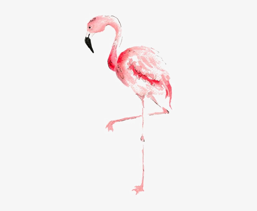 Flamingo Watercolor Painting Transprent Banner Black - Watercolor Flamingo Transparent Background, transparent png #555660