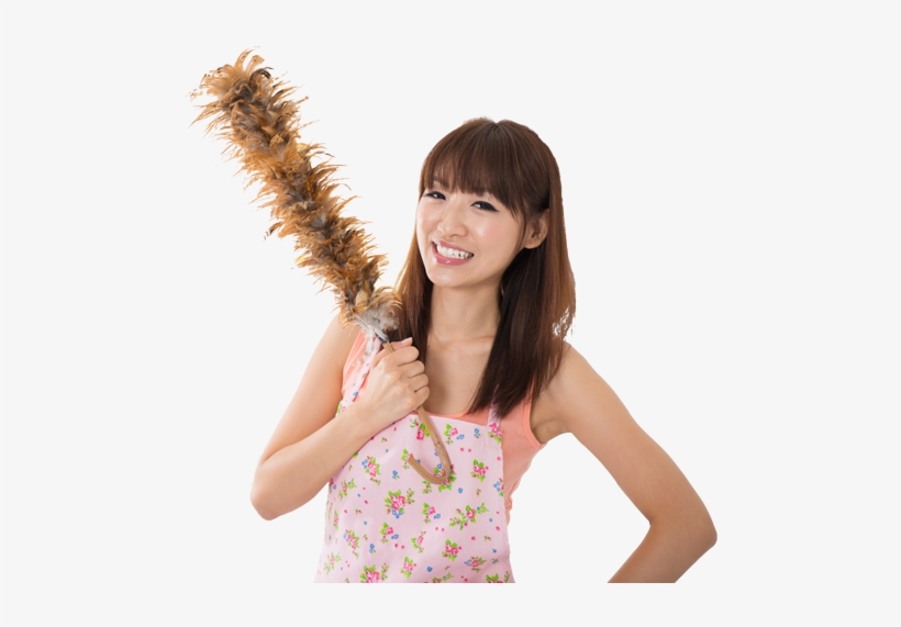 Penang Cleaner For Cleaning Services - Cleaning, transparent png #556593