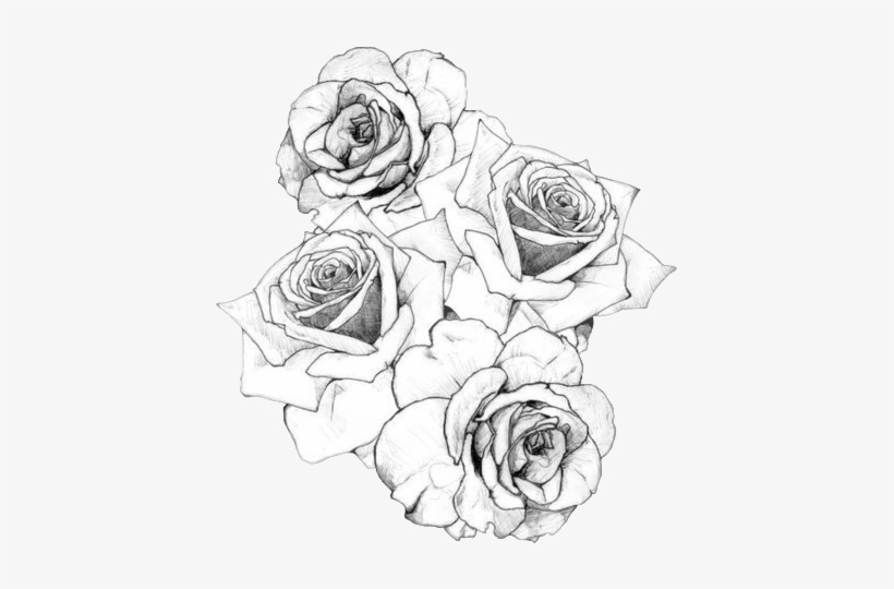 Single Rose Tattoo Stencil, HD Png Download , Transparent Png Image -  PNGitem