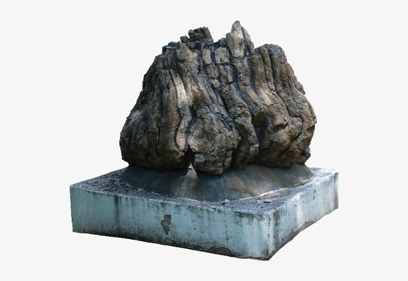 Petrified Rock Tree Trunk Png - Rock, transparent png #557797