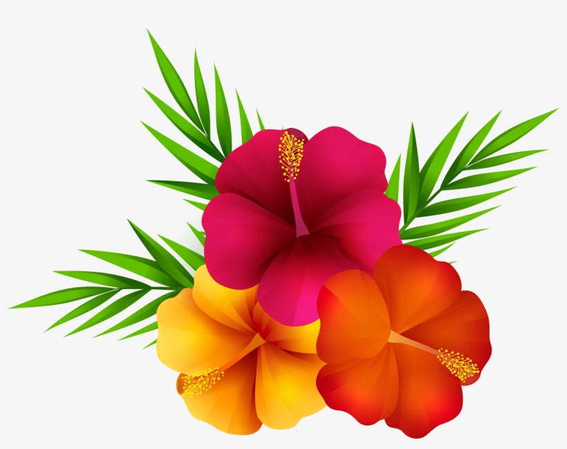 Exotic Flowers Png Clip Art Imageu200b Gallery Yopriceville - Tropical Flowers Transparent Background, transparent png #558016