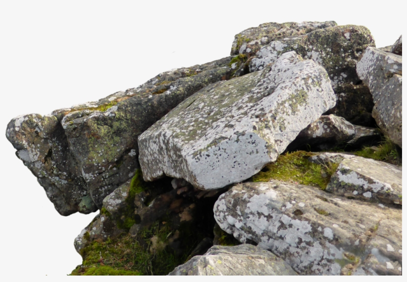 Free You're Mind, transparent png #558214