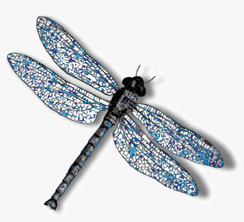 Dragonfly Png Background Image - Dragonfly With No Background, transparent png #558536