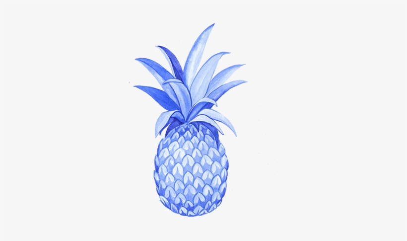I Began With Working On Botanical Elements - Pineapple, transparent png #558614