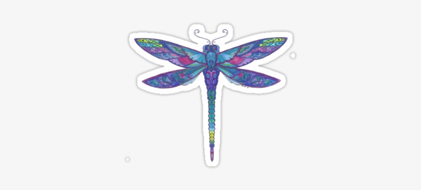 'dragonfly Sticker By Bobbysox - Coloring Book, transparent png #558871
