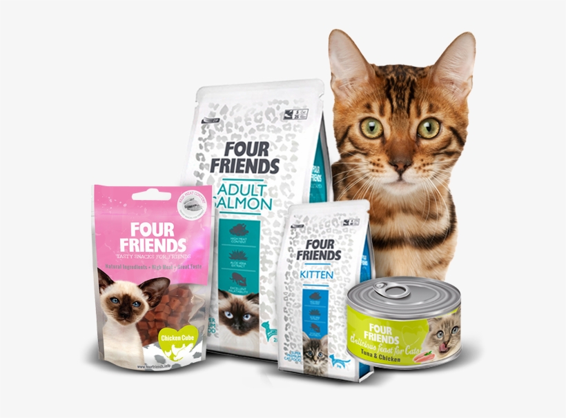 All Complete Ranges Have Aloe Vera Extract In The Recipe, - Cat Encyclopedia By Dk Publishing, transparent png #559115