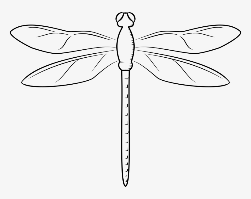 Swamp Vector Dragonfly Graphic Library - Dragonfly White Png, transparent png #559254