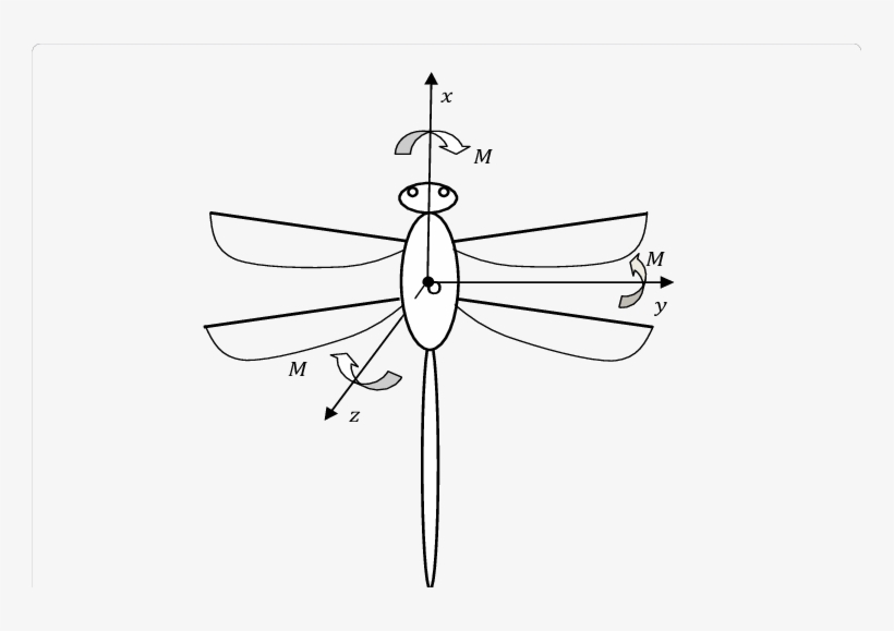 Sketch Map Of The Dragonfly - Technical Drawing, transparent png #559388