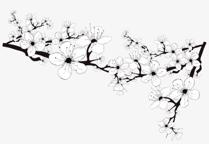 Header-flowers - Black And White Flower Png, transparent png #559812