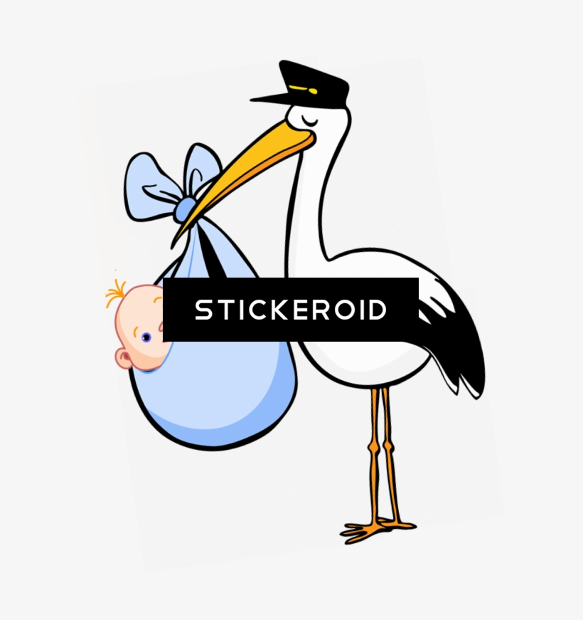 Stork Animals, transparent png #5502072
