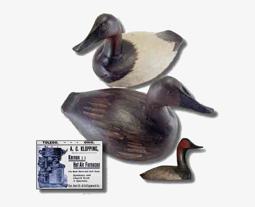 Klopping Family Of Toledo, Ohio - Mallard, transparent png #5502111