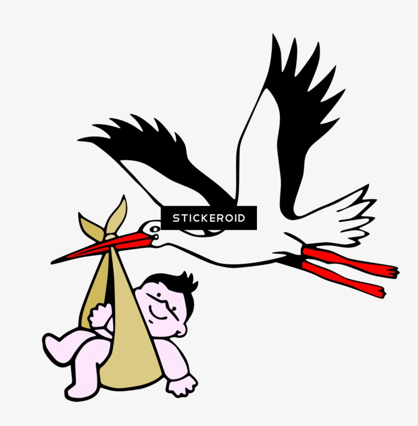 Stork Animals - New Born, transparent png #5503461