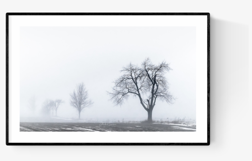 Lost In The Fog, transparent png #5504016