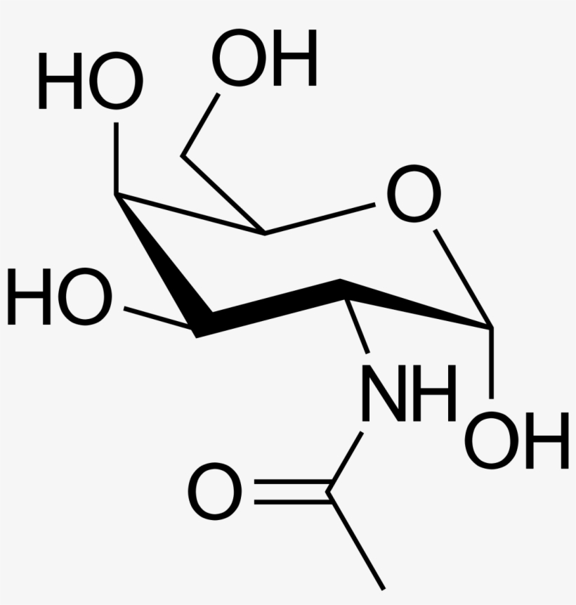 Methyl Aspartic Acid, transparent png #5504365