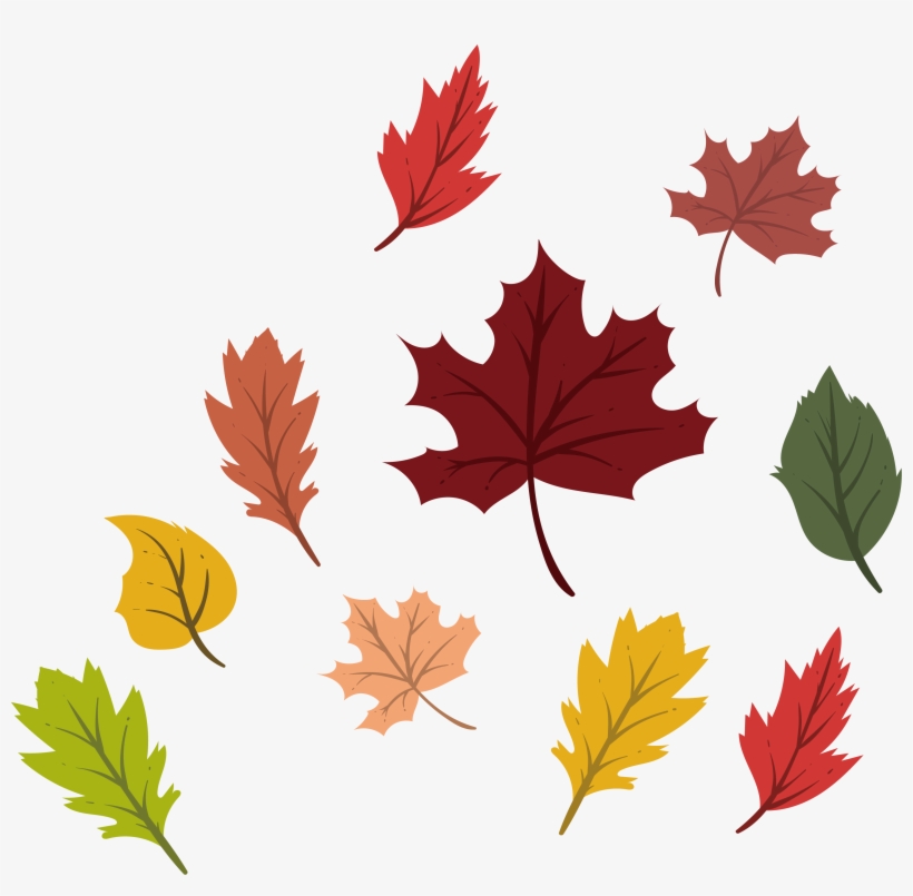 Png Black And White Maple Leaf Deciduous Leaves Transprent - Colorful Autumn Leaves Png, transparent png #5506628
