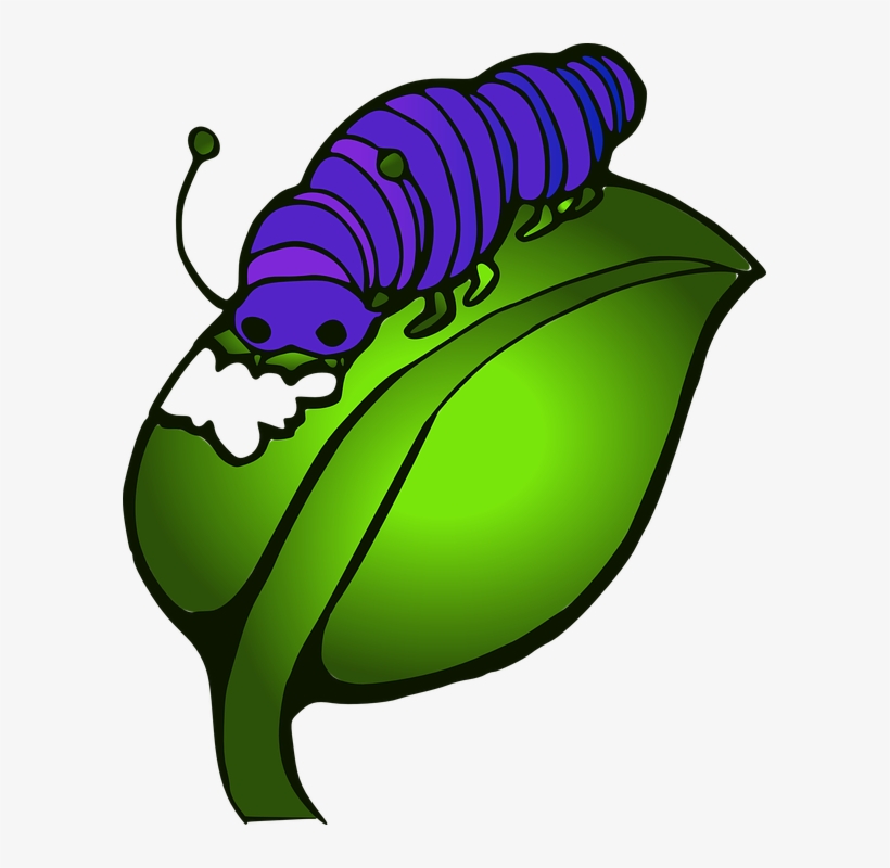 Chalkboard Sign Clipart - Catterpillar, transparent png #5506868