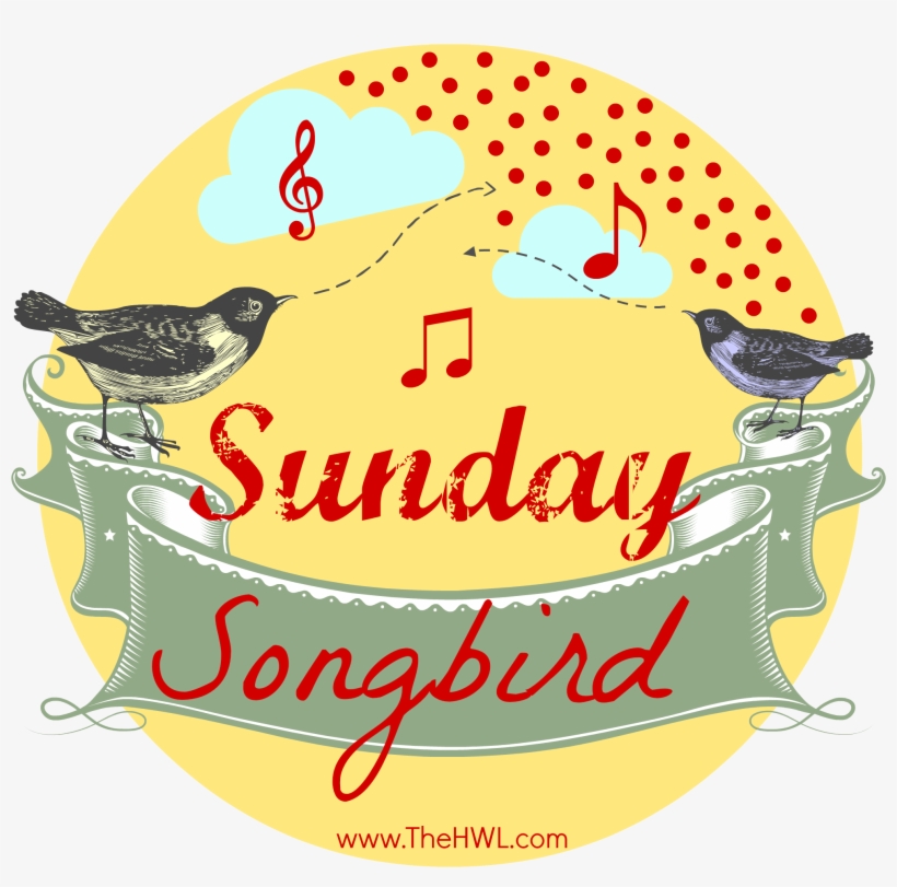 Sunday Songbird - The Hwl - Beautiful Boy - Jason Mraz, - Sunday Morning Music Enjoy, transparent png #5506871