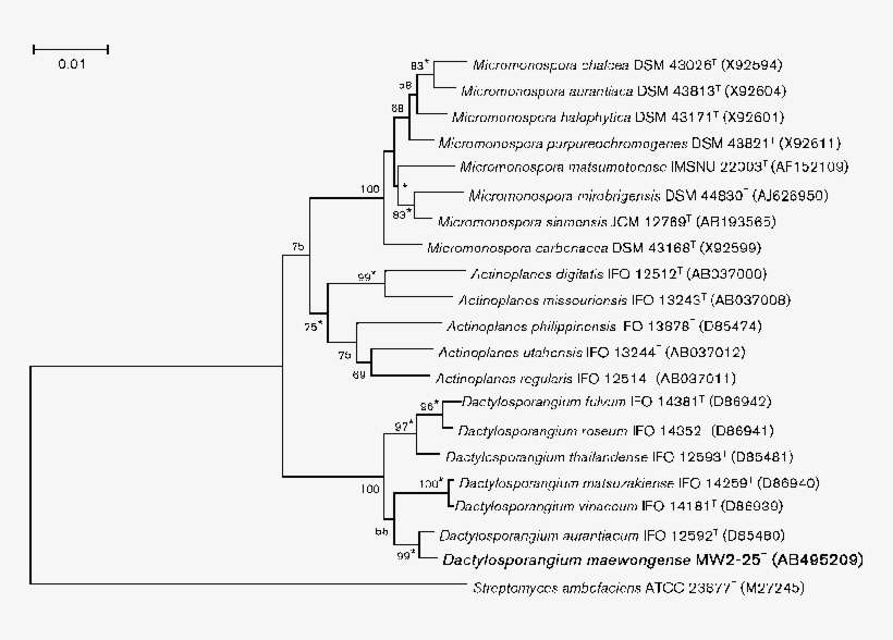 Neighbour Joining Tree Based On Almost Complete 16s - Neighbor Joining, transparent png #5507212