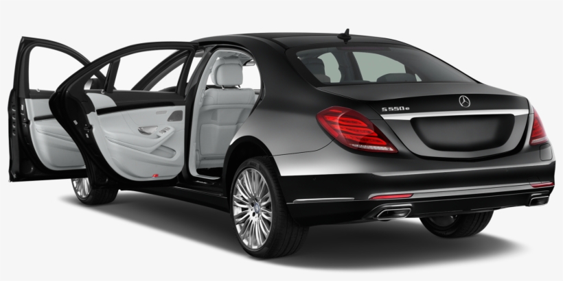 Fizik Kurve Bull Crack Smartdraw Full Cracked, transparent png #5507412