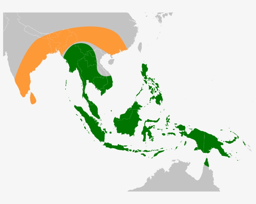 Banana Ancestors Original Range, transparent png #5509158