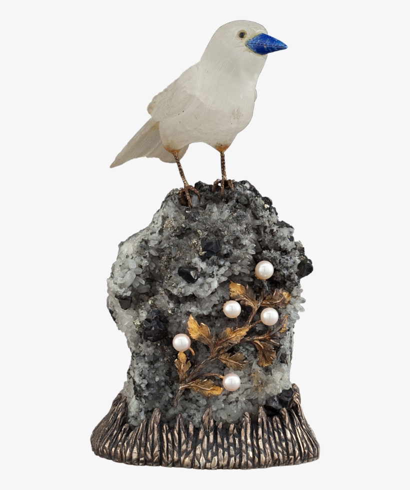 Seagulls - Shorebird, transparent png #5510571