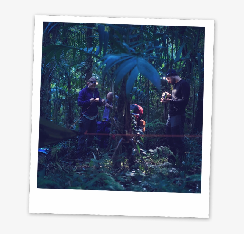 Jungle Camplife - Breakfast, transparent png #5510844