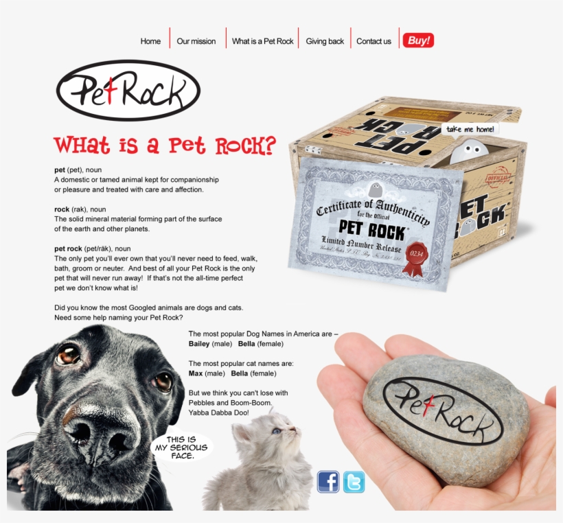 Whatis Mapped Img - Whats A Pet Rock, transparent png #5512472