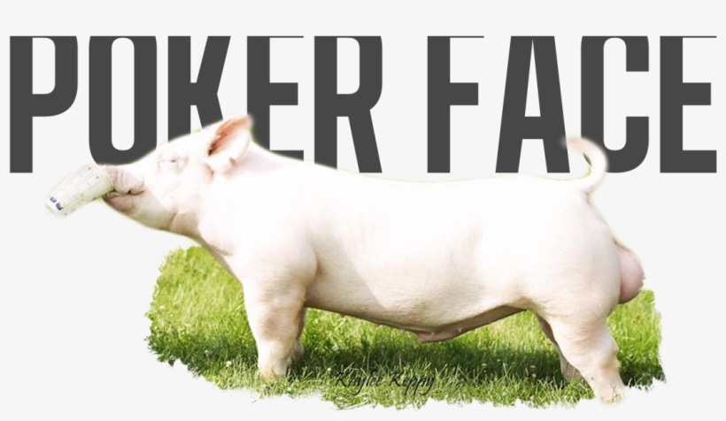 Hair Nation X In Control, transparent png #5513731