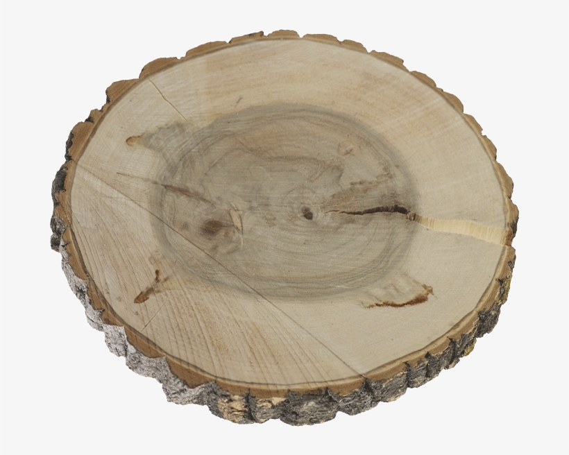 Slice Png Poplar Base With Banner Free - Poplar Wood, transparent png #5514775