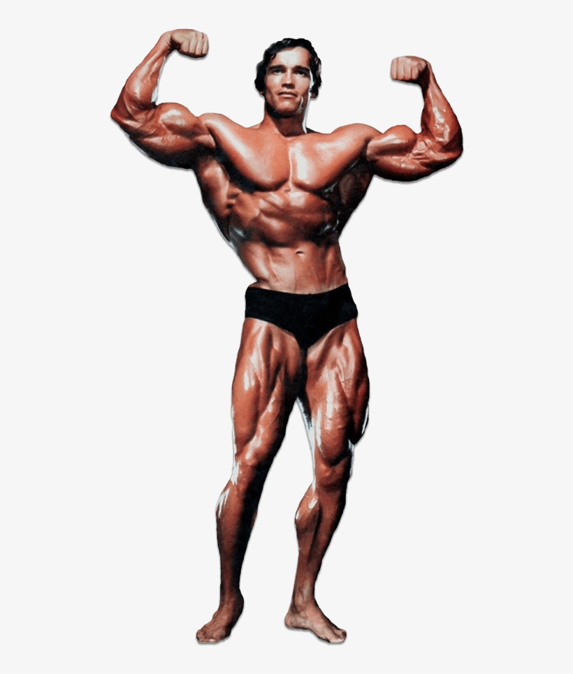 Arnold Schwarzenegger - Historyofbodybuilding - Com - Arnold Schwarzenegger - Bodybuilding Motivational Poster, transparent png #5514932