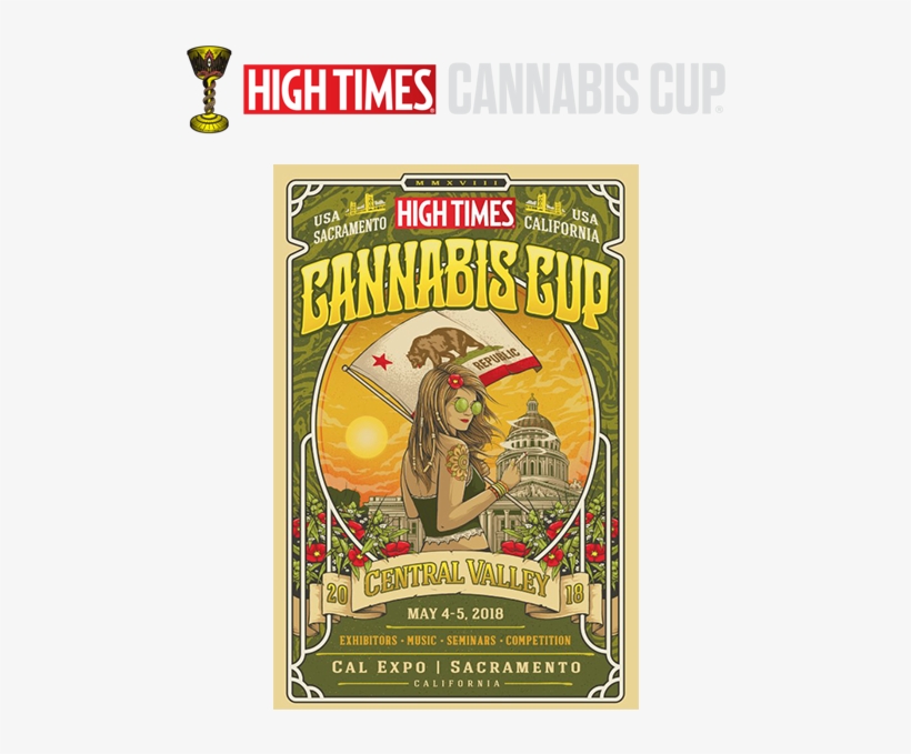 Saccc - High Times: A 40-year History, transparent png #5516395