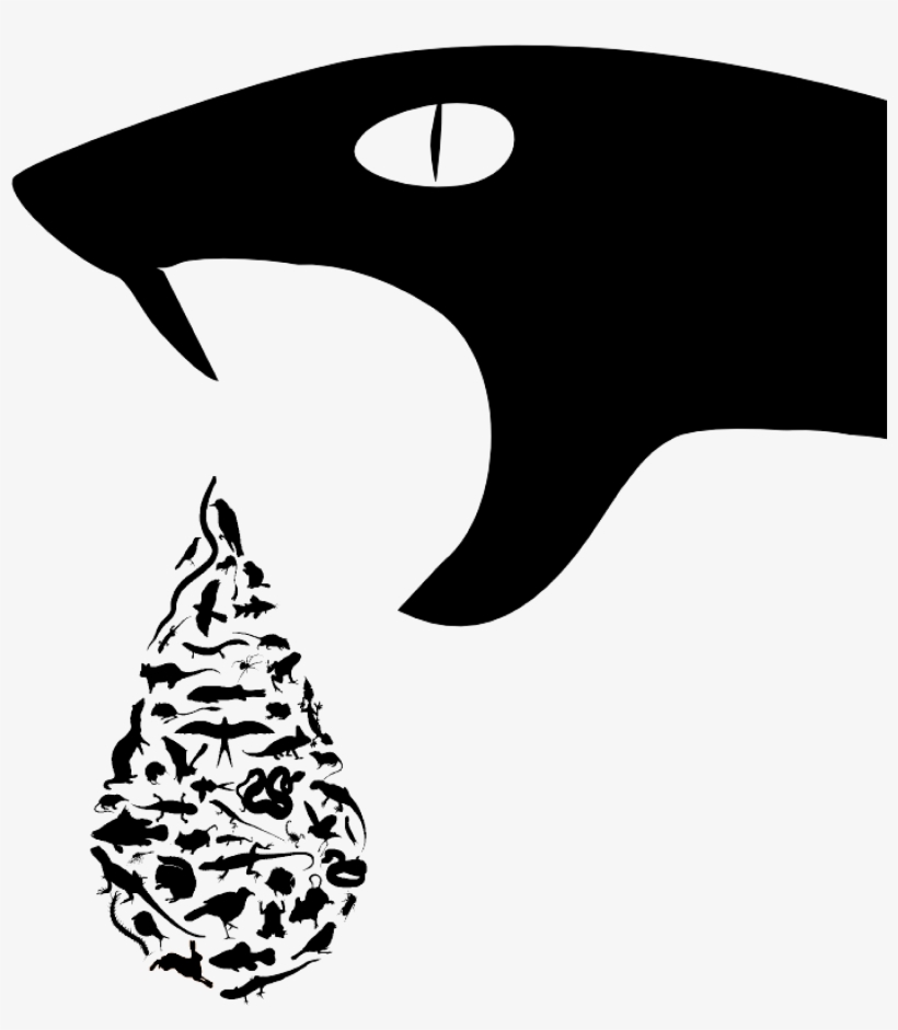 Research - Ecology And Evolution, transparent png #5516444