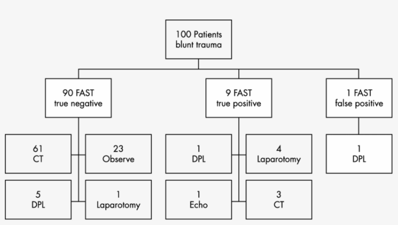 Fast Results And Investigations To Confirm The Fast - Diagram, transparent png #5516678