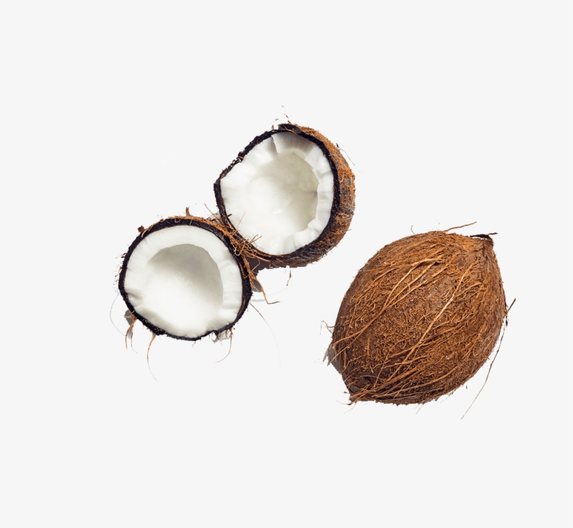 Coconut Free Transparent Images - Coconut, transparent png #5516905