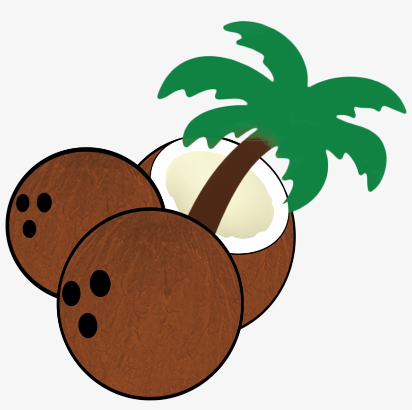 South Florida Coconuts - Florida, transparent png #5517379
