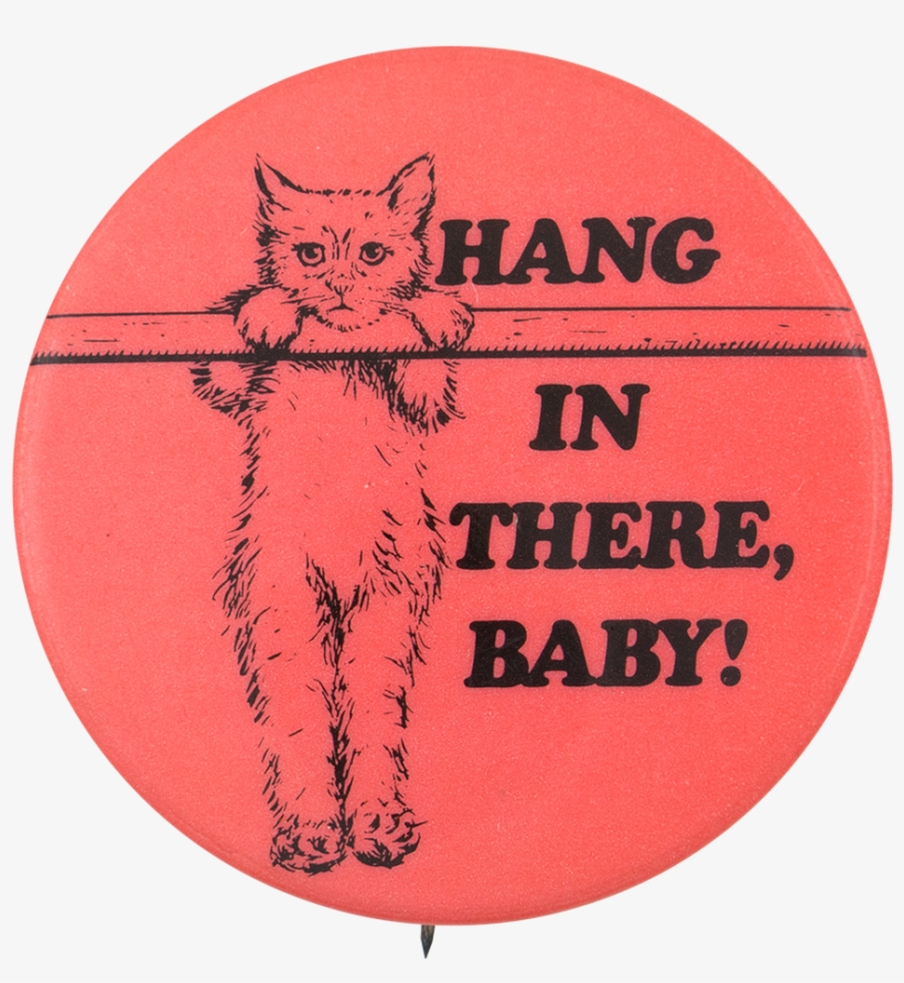 Hang In There Baby - Hang In There, Baby, transparent png #5517556
