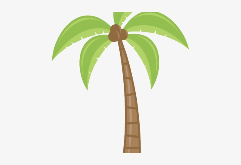 Palm Tree Clipart Borders - Cartoon Palm Tree Transparent, transparent png #5518286