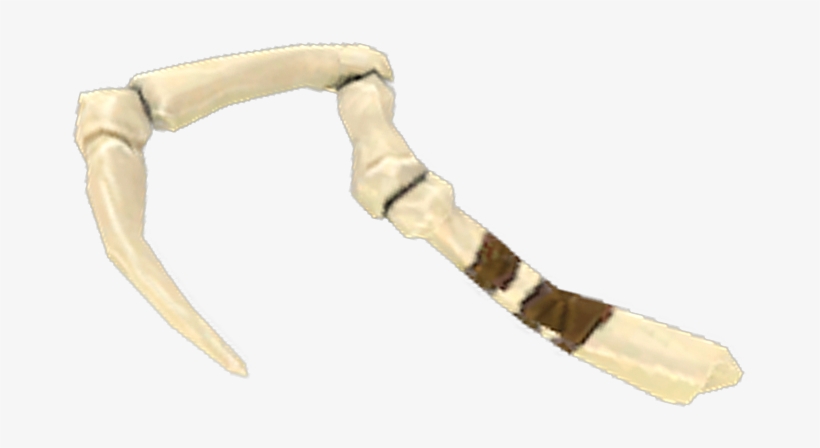 Prize, transparent png #5519460