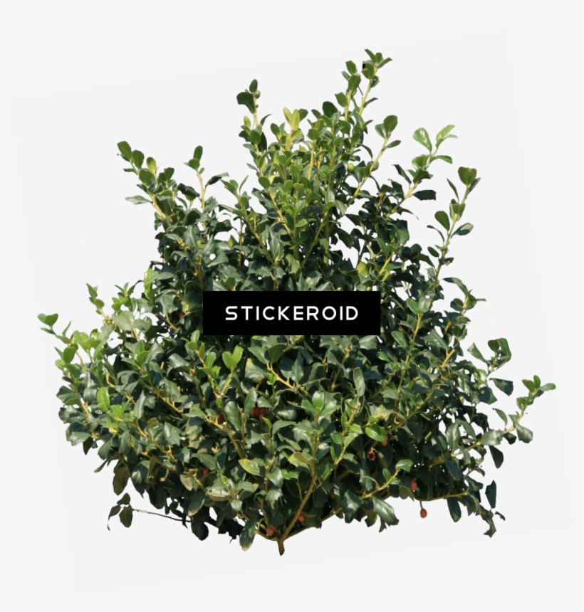 Lebron James Red - Bush Png, transparent png #5520286