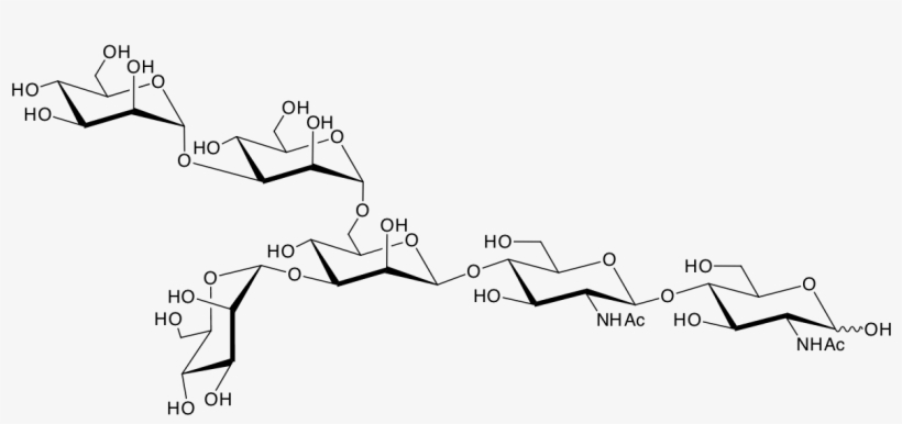 Structure Of Man Man(a6)[man ] - Pi 88, transparent png #5520288
