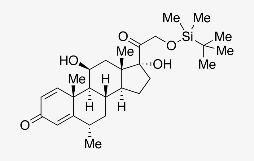 Catalogue Number - Hic-a60640216 - Great Testosterone Myth [book], transparent png #5521353