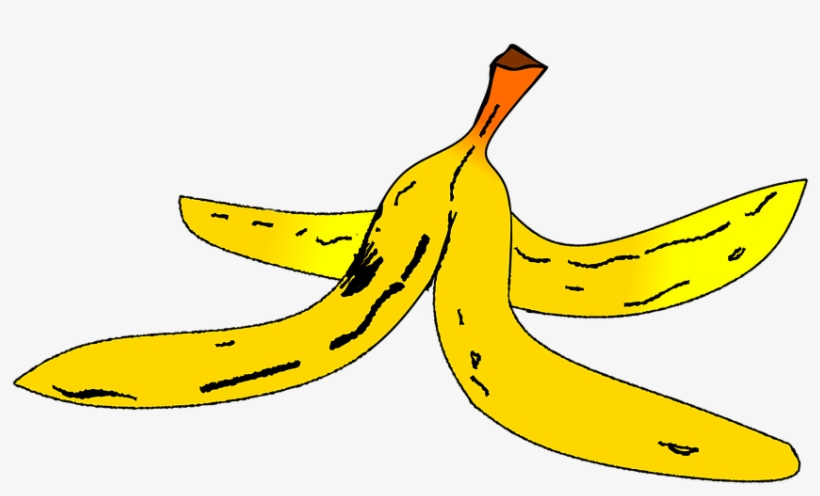 Casca De Banana Png - Banana Drawing Peel Small, transparent png #5521629