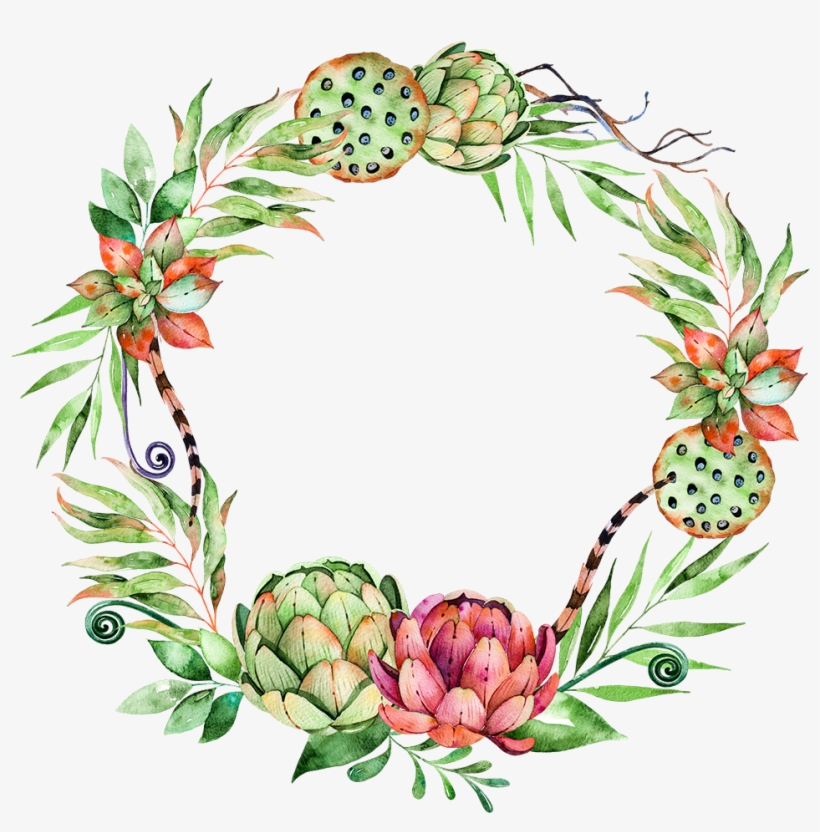 Svg Library Stock Flower Plant Wreath Illustration - Succulent Watercolor Free Png, transparent png #5522511