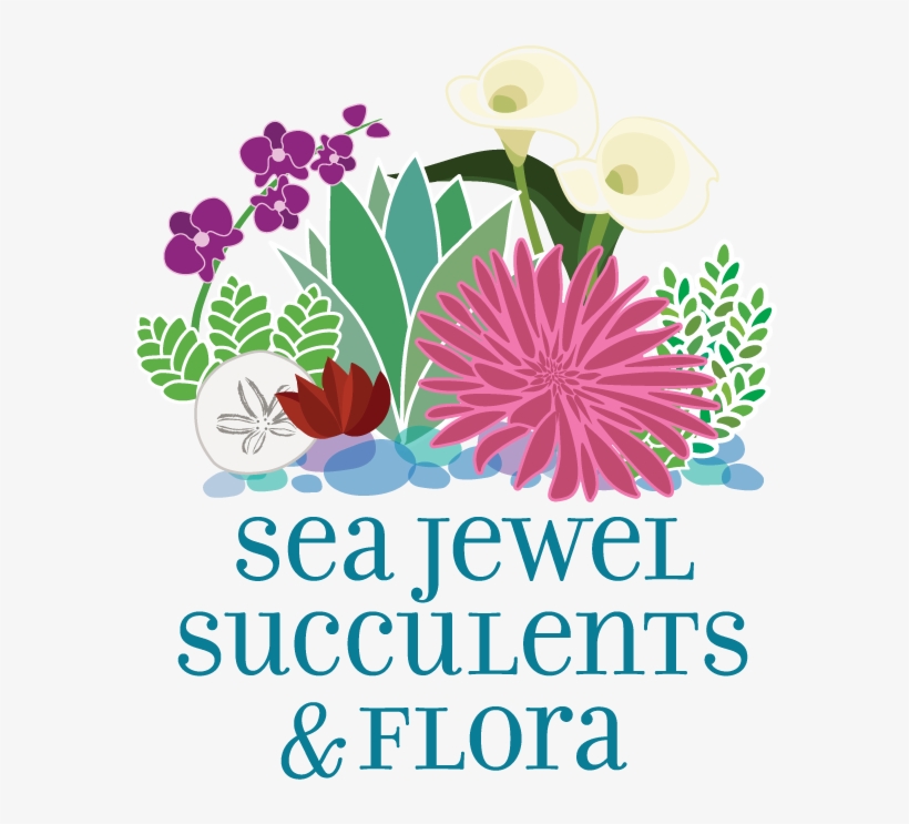 Sea Jewel Succulents & Flora - Design, transparent png #5523249