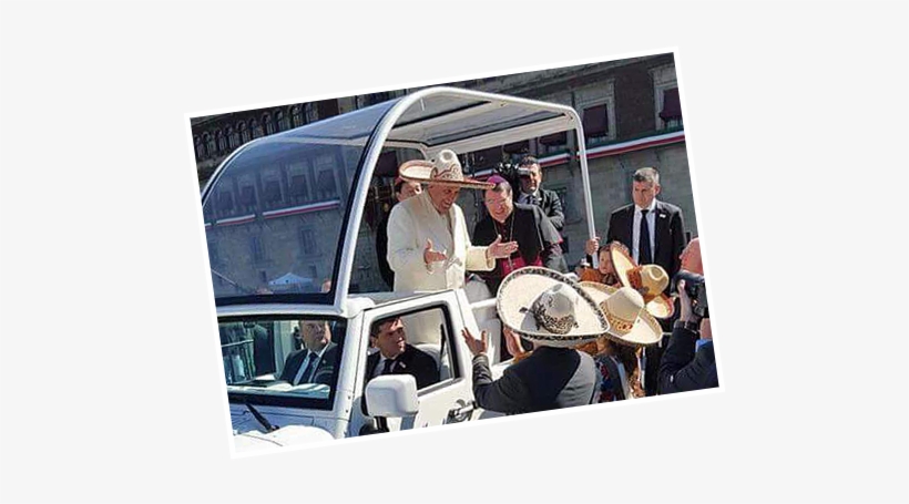 Verde Palm And Woven Paper Hats - Jollyboat, transparent png #5523958