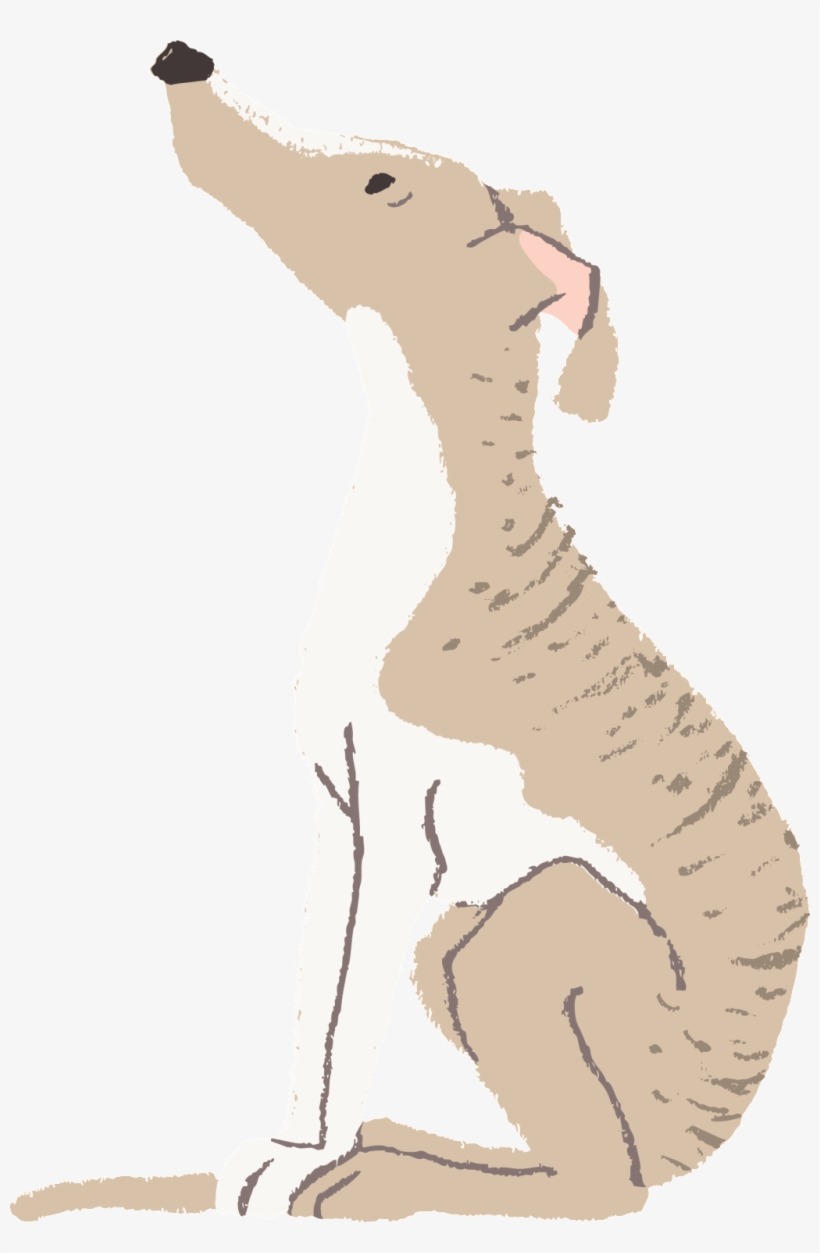 El Dibujado A Mano Perro Mascota Es Gratis Desde El, transparent png #5524085