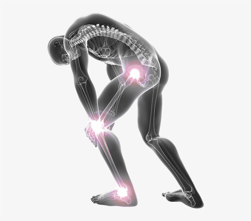 Muscle And Joint Pain - Back Maintenance & Body Management: A Unique Method, transparent png #5525302