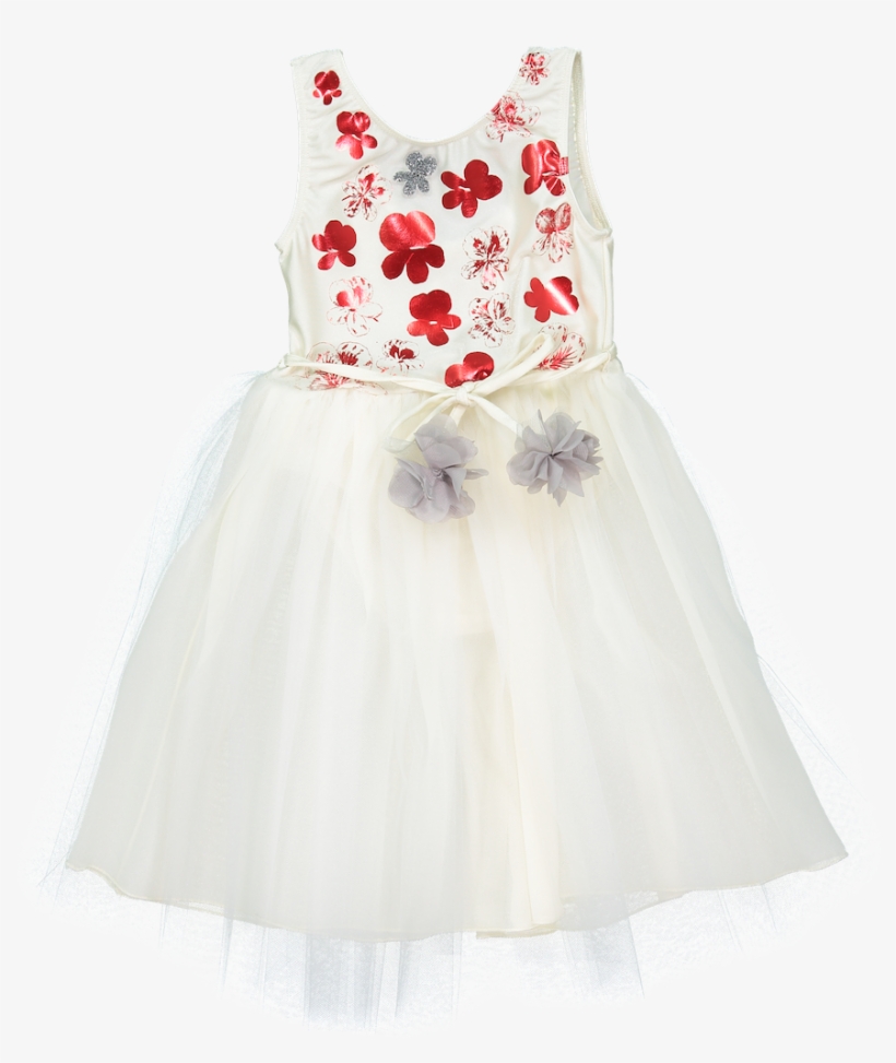 Atsuyo Et Akiko Le Bouquet Dress Ivory - Boston, transparent png #5528018