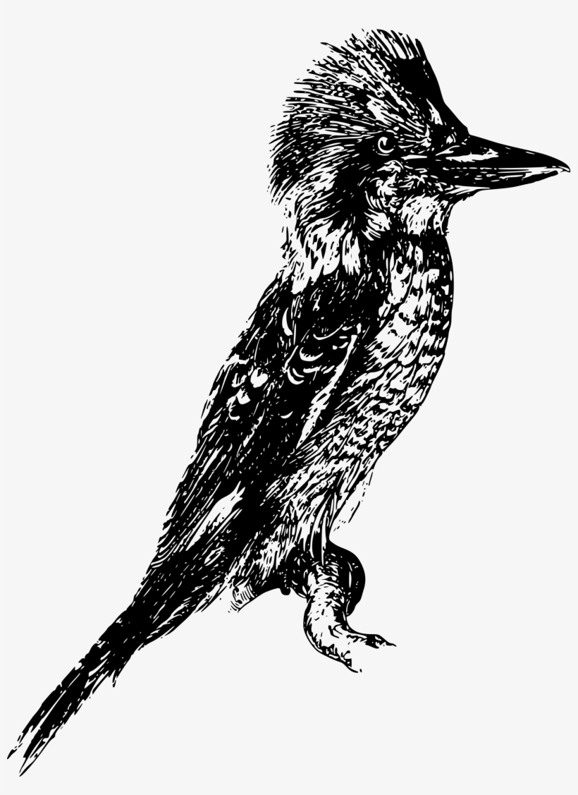 This Free Icons Png Design Of Laughing Kookaburra, transparent png #5528800