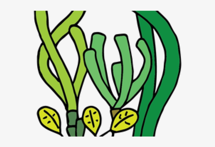 Coral Reef Clipart Seagrass - Seagrass Png, transparent png #5529100